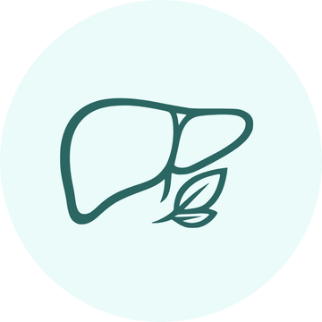 Liver Wellness