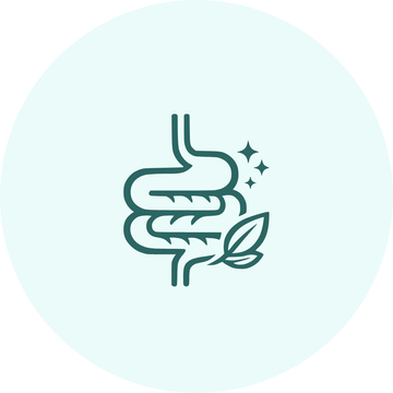 Gut Wellness