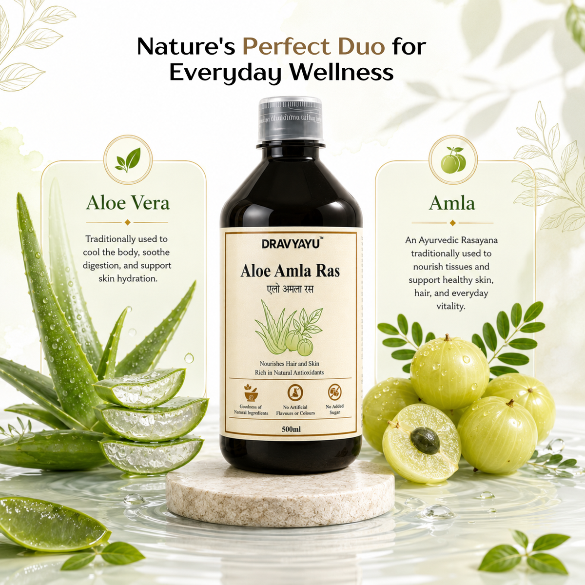 Dravyayu Aloe Amla Ras