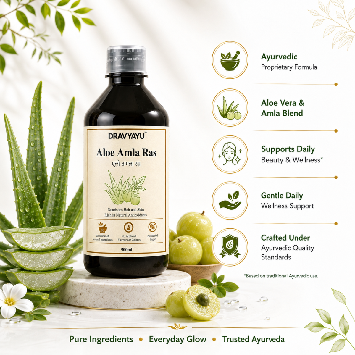Dravyayu Aloe Amla Ras