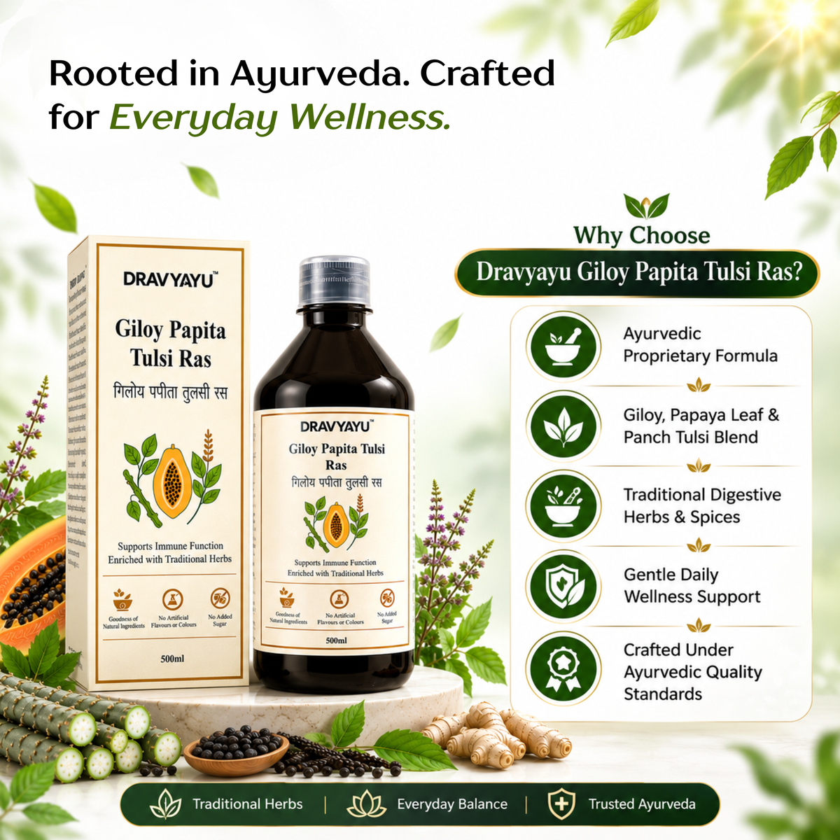 Dravyayu Giloy Papita Tulsi Ras